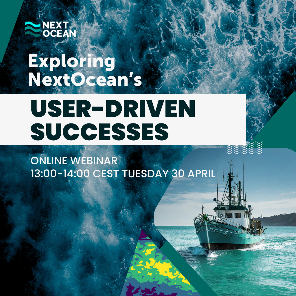 Banner advertising Exploring NextOcean's user-driven successes